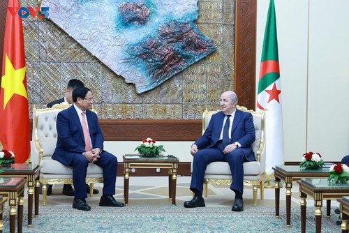 Thủ tướng Phạm Minh Chính hội kiến Tổng thống Algeria - ảnh 3