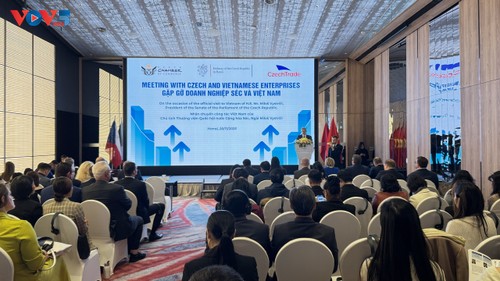 Doanh nghiệp Việt Nam – Cộng hòa Séc: Mở rộng hợp tác đầu tư  ​ - ảnh 1
