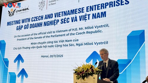 Doanh nghiệp Việt Nam – Cộng hòa Séc: Mở rộng hợp tác đầu tư  ​ - ảnh 2