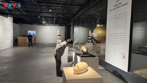 Điểm chạm khoa học – Khi tri thức được cảm nhận bằng nghệ thuật - ảnh 7