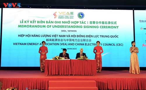 Triển lãm quốc tế năng lượng Việt Nam, Trung Quốc, ASEAN 2025 - ảnh 2