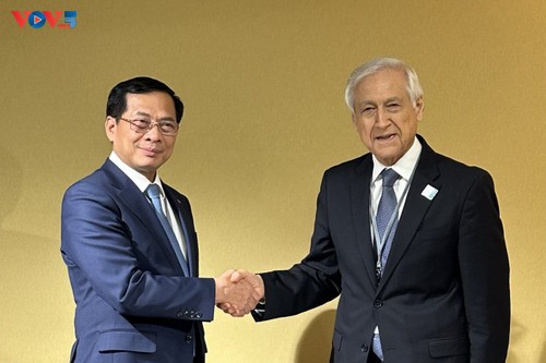 Phó Thủ tướng, Bộ trưởng Ngoại giao Bùi Thanh Sơn tiếp Đặc phái viên của Tổng thống Chile về Đại dương - ảnh 1
