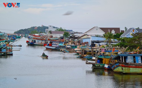 Các địa phương quyết liệt triển khai các biện pháp nhằm góp phần gỡ “thẻ vàng” của EC  - ảnh 1