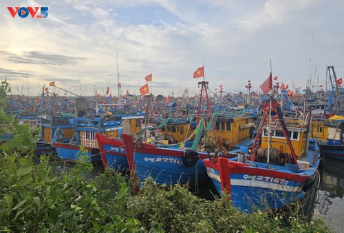 Các địa phương chủ động ứng phó bão  số 13 (bão Kalmaegi) - ảnh 1