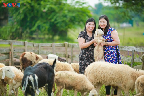 Ngắm thảo nguyên hoa giữa lòng Hà Nội - ảnh 8