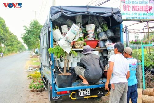 Sắc xuân tràn ngập làng hoa Sa Đéc - ảnh 10