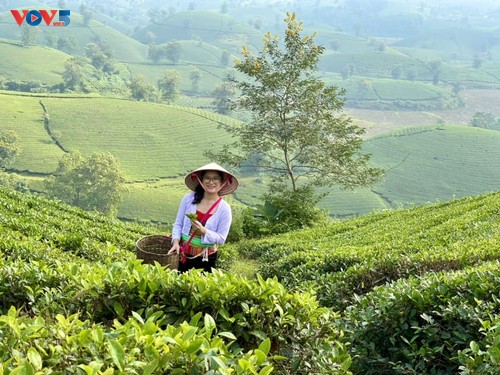 Vẻ đẹp Long Cốc mùa đẹp nhất trong năm  - ảnh 11