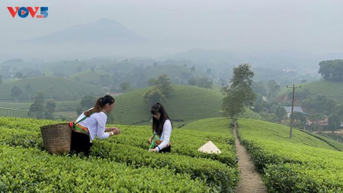 Vẻ đẹp Long Cốc mùa đẹp nhất trong năm  - ảnh 10