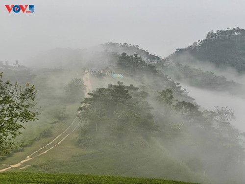 Vẻ đẹp Long Cốc mùa đẹp nhất trong năm  - ảnh 6