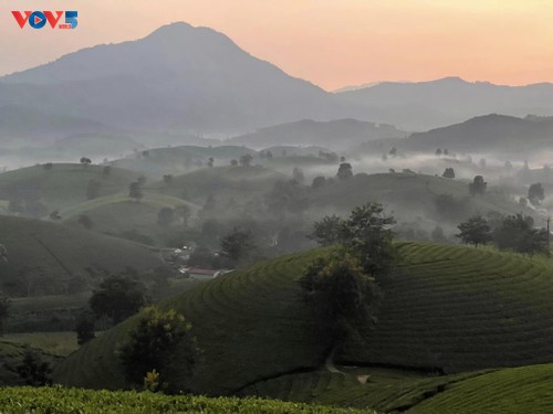 Vẻ đẹp Long Cốc mùa đẹp nhất trong năm  - ảnh 1