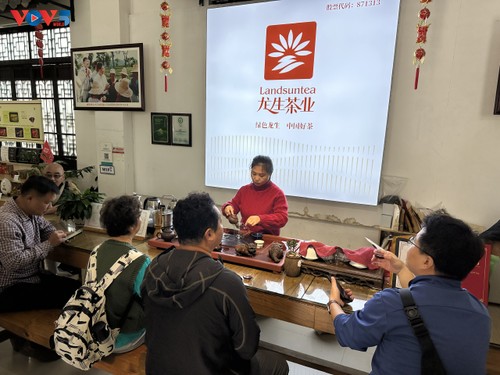 Vườn triển lãm trà Phổ Nhĩ Trung Quốc - ảnh 8