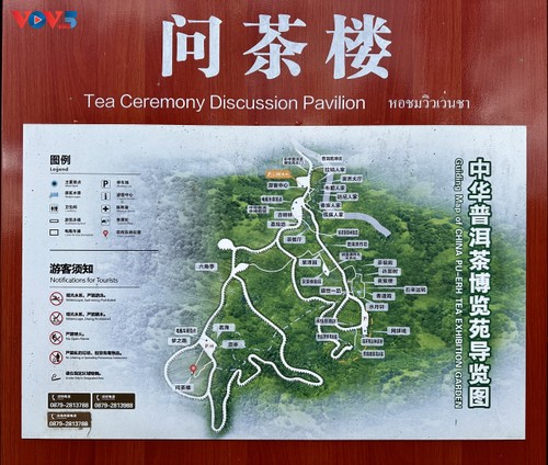 Vườn triển lãm trà Phổ Nhĩ Trung Quốc - ảnh 2
