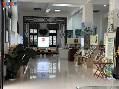 Vườn triển lãm trà Phổ Nhĩ Trung Quốc - ảnh 4