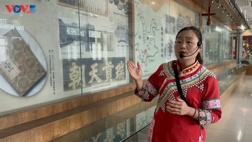 Vườn triển lãm trà Phổ Nhĩ Trung Quốc - ảnh 5