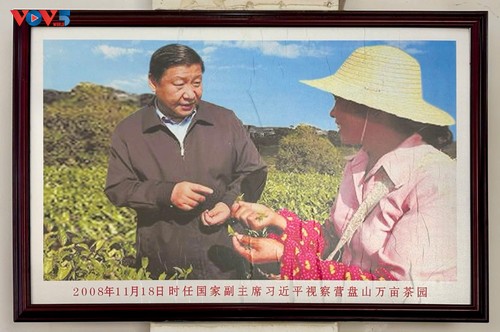 Vườn triển lãm trà Phổ Nhĩ Trung Quốc - ảnh 1