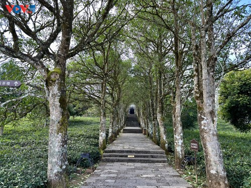 Vườn triển lãm trà Phổ Nhĩ Trung Quốc - ảnh 9