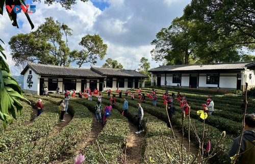 Vườn triển lãm trà Phổ Nhĩ Trung Quốc - ảnh 10