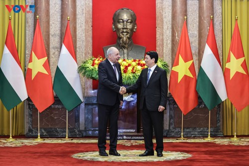 Tiếp đà cho quan hệ Đối tác toàn diện Việt Nam-Hungary - ảnh 1