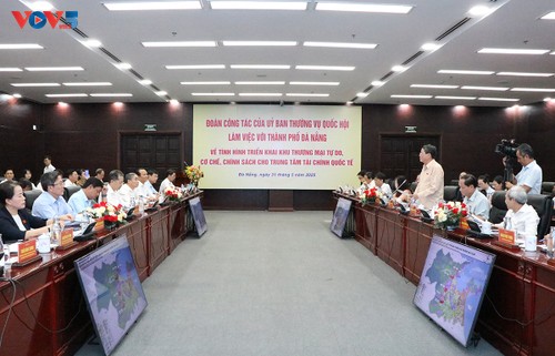 Debaten mecanismos para centro financiero internacional en Da Nang - ảnh 1