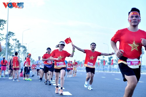 Vibra Vietnam con diversas celebraciones por el Día Nacional - ảnh 1