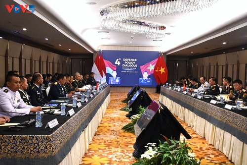 IV Diálogo de Política de Defensa: Vietnam e Indonesia buscan hacer más sustancial su cooperación - ảnh 1