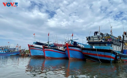 Autoridades y pescadores de Ciudad Ho Chi Minh decididos a acabar con la pesca INDNR - ảnh 3
