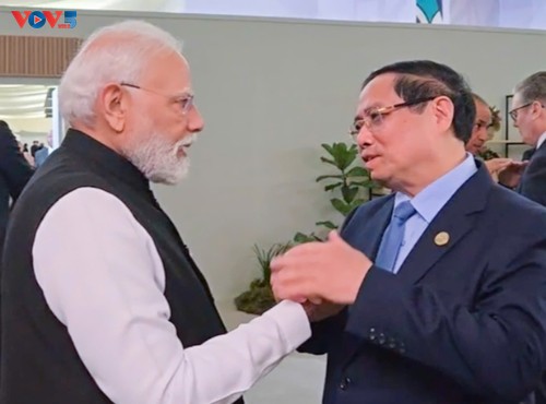 Primer Ministro vietnamita se reúne con líderes de países y organizaciones internacionales en Johannesburgo - ảnh 1