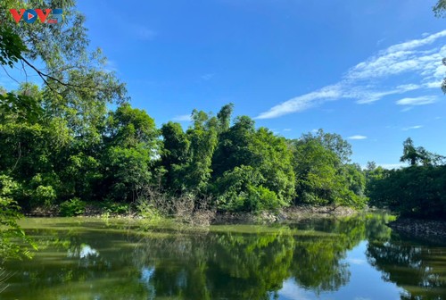 Jardín Botánico de Hanói, un atractivo destino de turismo verde - ảnh 2
