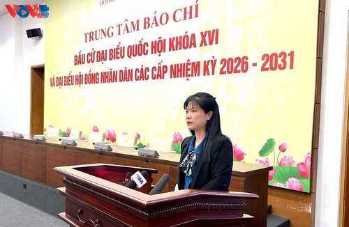 Nueve provincias registran una participación electoral superior al 50% - ảnh 1