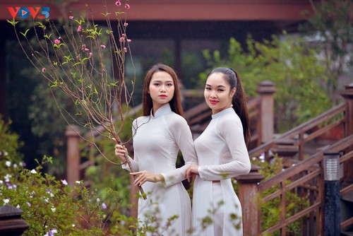 Áo dài mùa xuân - ảnh 11