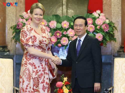 Vo Van Thuong reçoit la reine Mathilde de Belgique - ảnh 1