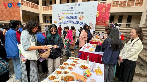 Couleurs culturelles: un temps fort et vivant de la Francophonie - ảnh 8