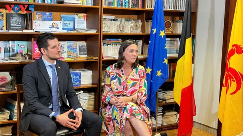 Vietnam-Belgique: vers une coopération renforcée à l'avenir    - ảnh 1