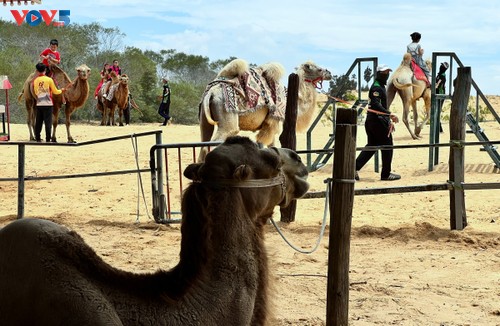 Bàu Trang, un air de Sahara au cœur du Vietnam - ảnh 3
