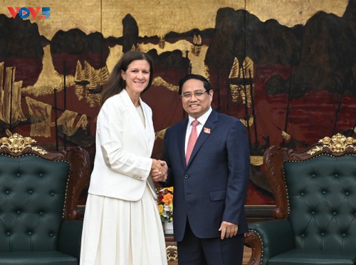 Pham Minh Chinh invite GE Vernova à renforcer ses investissements dans les énergies et les réseaux électriques au Vietnam - ảnh 1