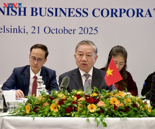 La coopération économique, moteur des relations Vietnam–Finlande - ảnh 1