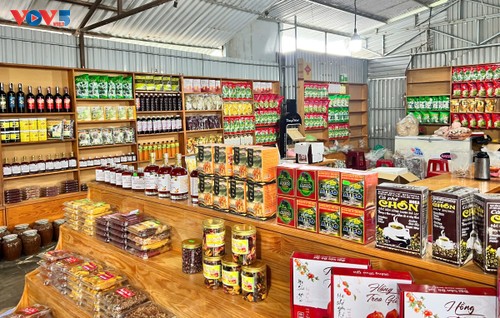 Cueillir des fraises à Dà Lat: une parenthèse inattendue entre modernité agricole et douceur montagnarde - ảnh 5