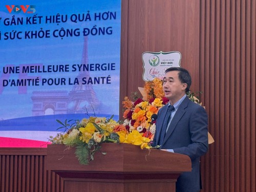 Renforcer la coopération franco-vietnamienne dans le domaine de la santé  - ảnh 4