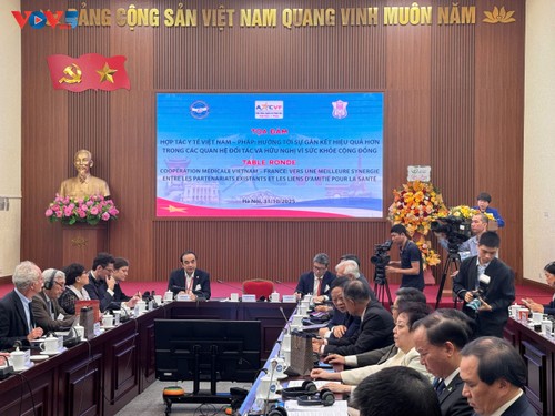 Renforcer la coopération franco-vietnamienne dans le domaine de la santé  - ảnh 2