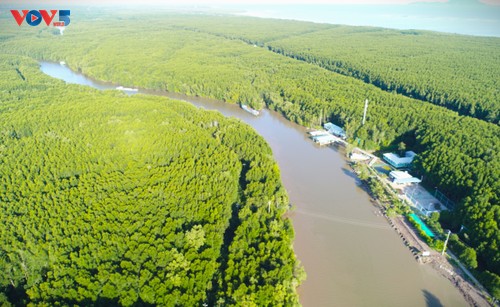 En pirogue au cœur des mangroves d’U Minh Ha - ảnh 1