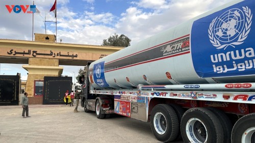 Gaza: l’Égypte achemine 7.500 tonnes d’aide humanitaire - ảnh 1