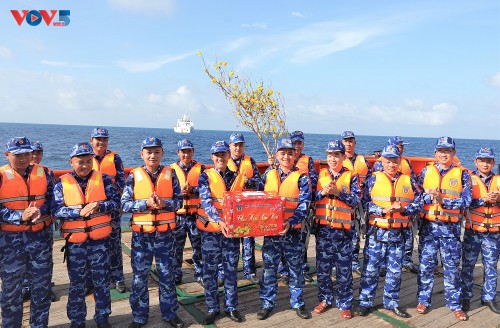 De vœux du Têt aux soldats en mer et sur les plateformes DK1 - ảnh 2