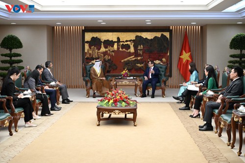 Les Émirats arabes unis s’engagent à soutenir le Vietnam face aux défis liés à la sécurité énergétique - ảnh 1