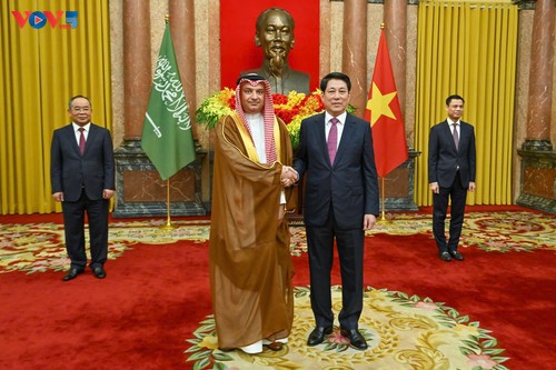 Luong Cuong reçoit les ambassadeurs venus présenter leurs lettres de créance - ảnh 2