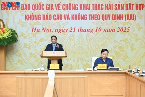 PM orders substantive action to get IUU yellow card lifted  - ảnh 1