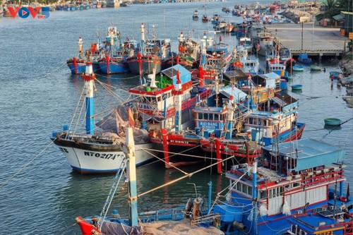 Khanh Hoa steps up efforts to lift EC’s “yellow card” on fishing - ảnh 1