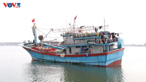 Fishing ports buzzing ahead of Tet - ảnh 5