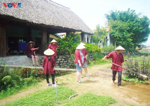 Nghề trồng rau Trà Quế tại Hội An được công nhận Di sản Văn hóa phi vật thể quốc gia - ảnh 1