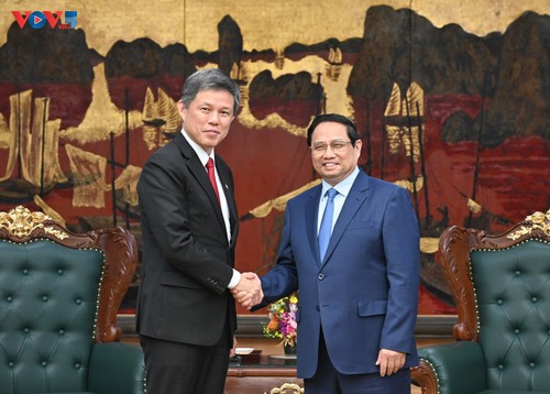 Việt Nam và Singapore trao đổi kinh nghiệm phát triển kinh tế-xã hội và các vấn đề khu vực, quốc tế - ảnh 1