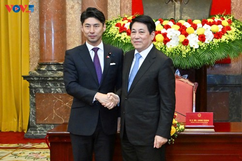  Chủ tịch nước Lương Cường tiếp Trưởng Ban Thanh niên Đảng Dân chủ tự do Nhật Bản - ảnh 2